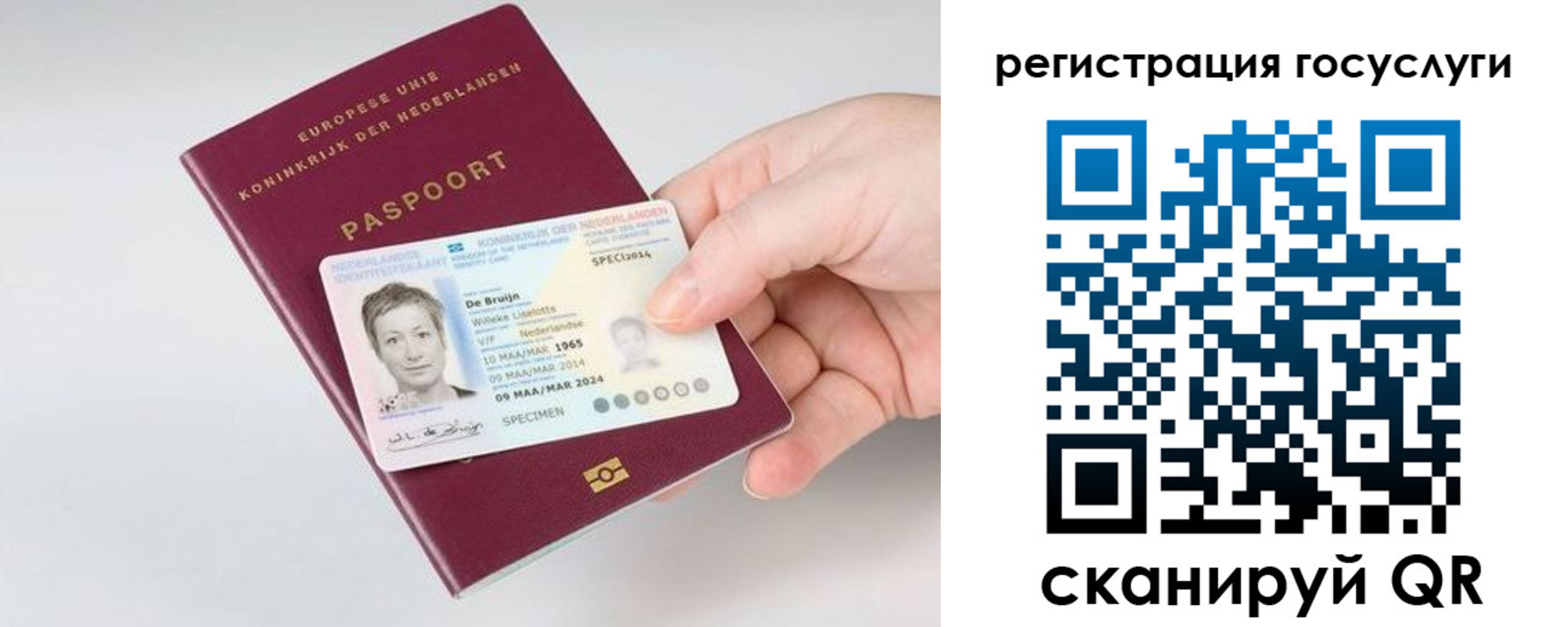 регистрация для дет. сада в Камчатской области