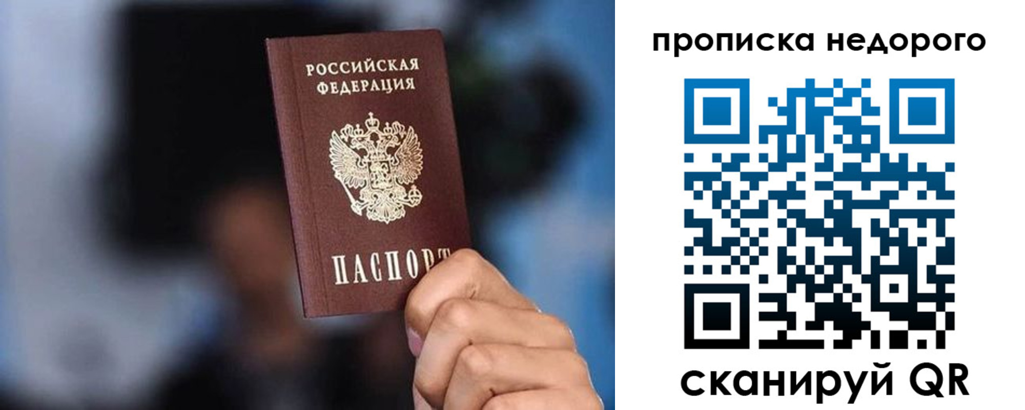 временная регистрация поиск в Камчатской области