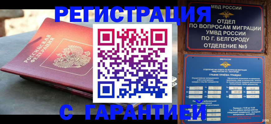 временная регистрация собственник в Камчатской области